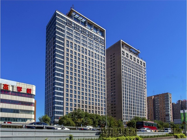 罗湖区绿化树批发